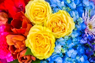 Summer Color Extravaganza Floral Design